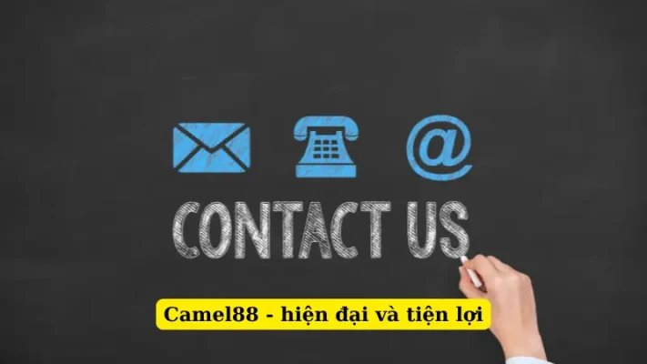 Camel88 - hiện đại và tiện lợi